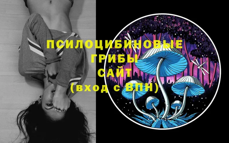 Псилоцибиновые грибы MAGIC MUSHROOMS  Заводоуковск 